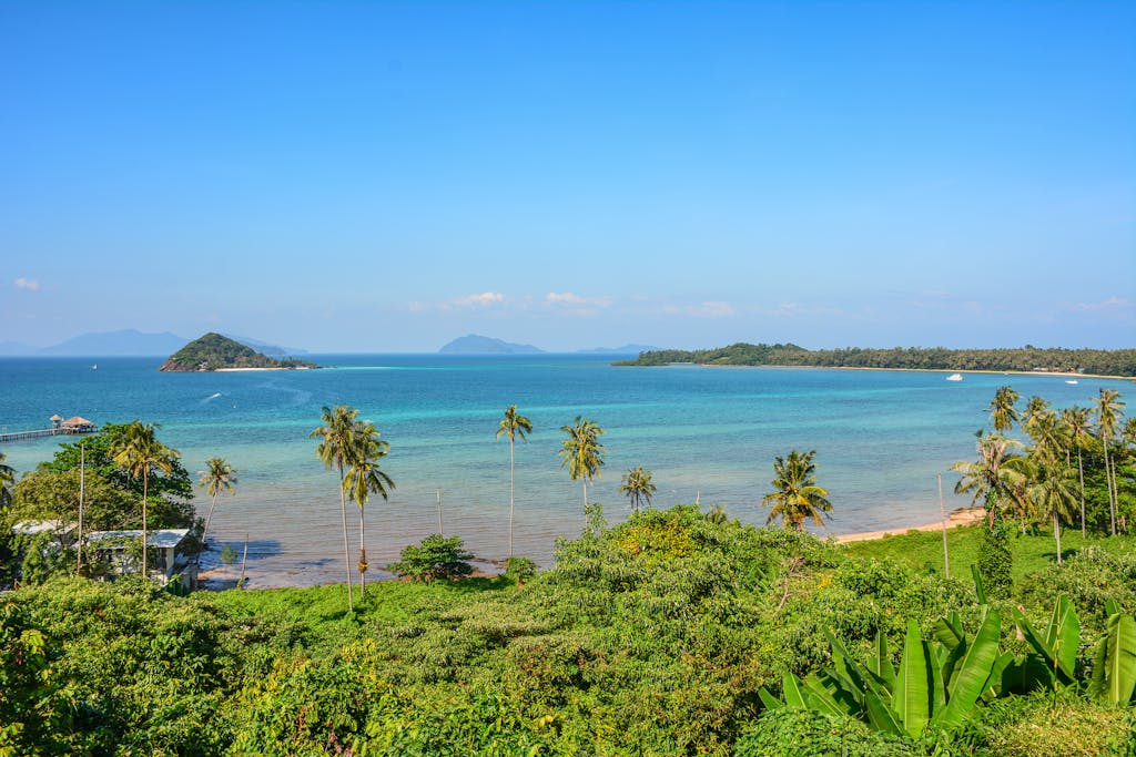 A stunning view of Ko Mak's tropical beach with clear blue waters and palm trees.